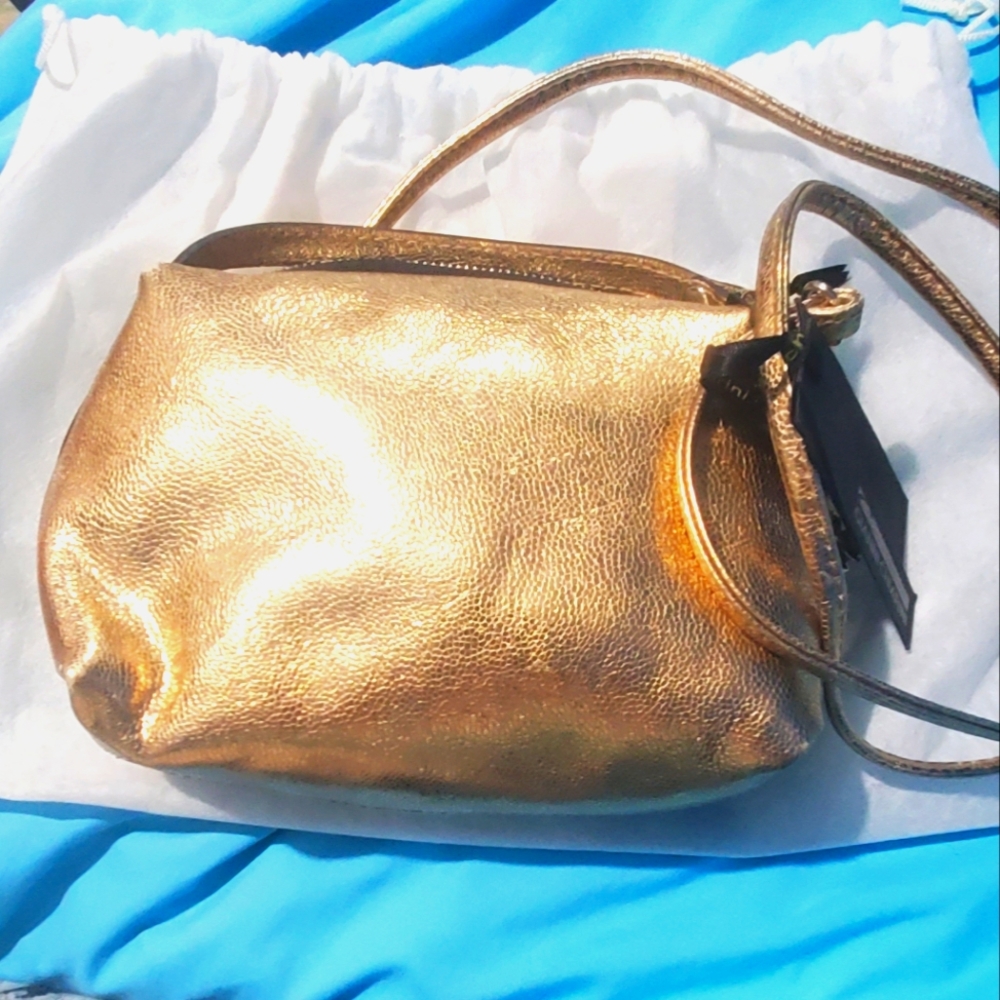 Gianni Chiarini Metallic Purse